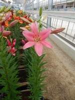 [4094 Ebro DJ No01.JPG]